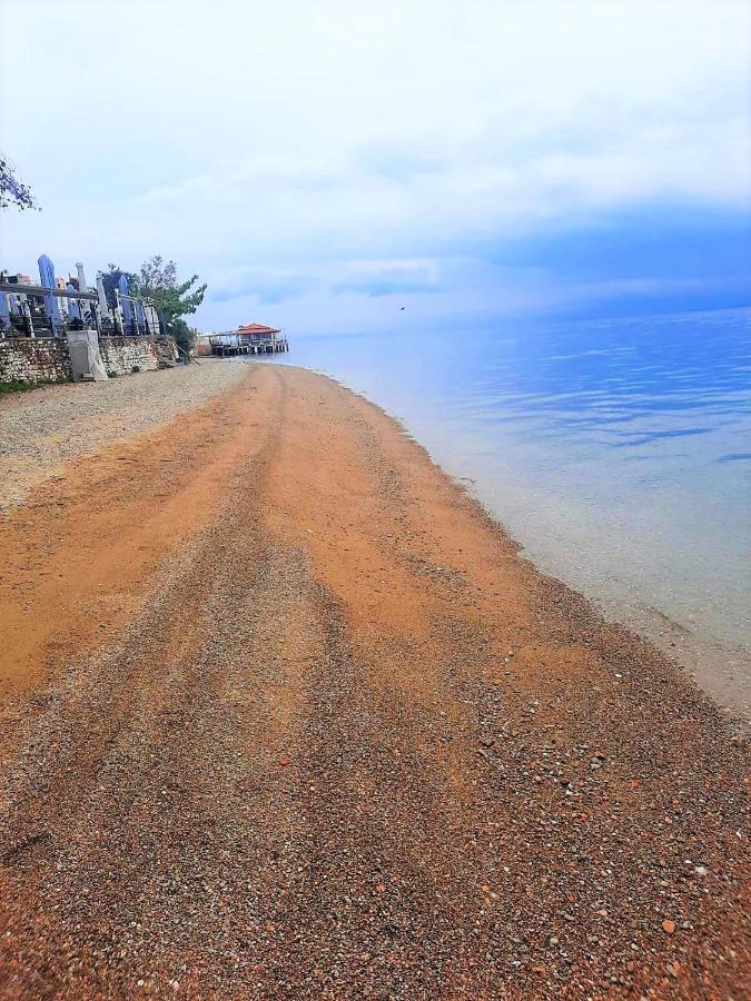 Apartment Georgios Loutra Edipsou (Evia)