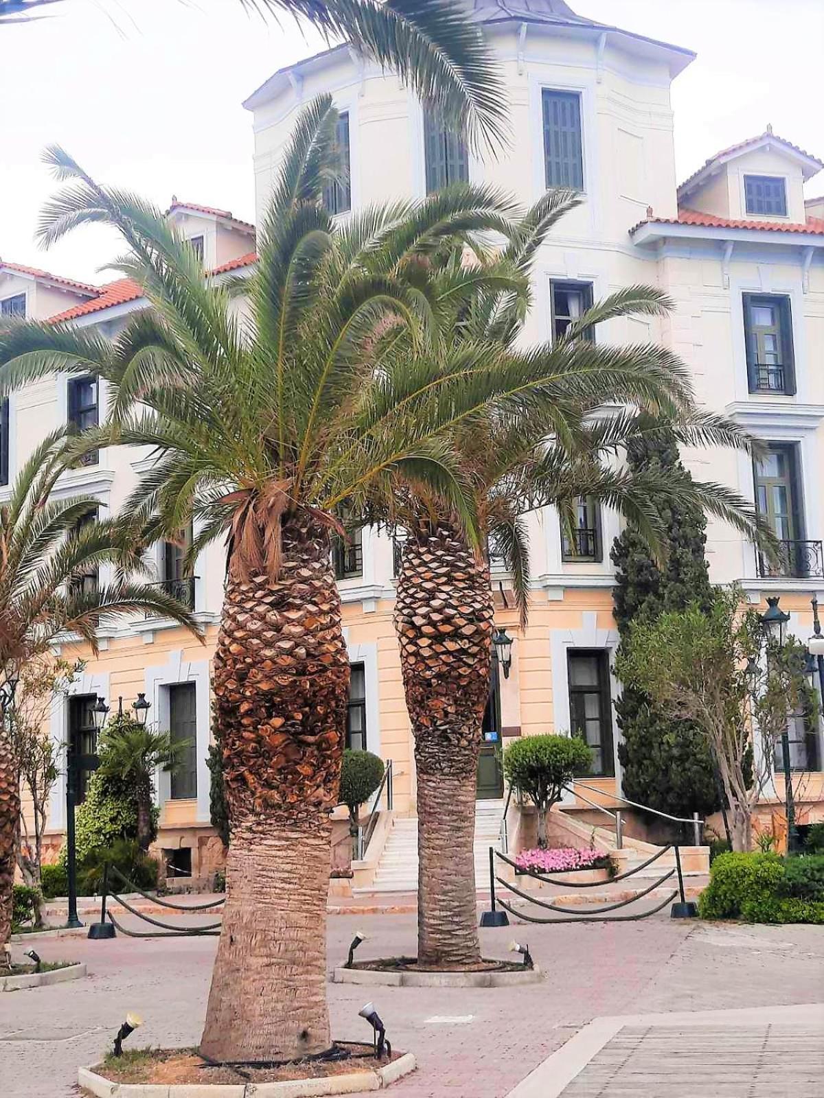 Apartment Georgios